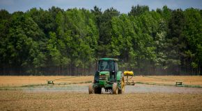 •	Conférence sur les pesticides à Clermont l’Hérault du 4 juin