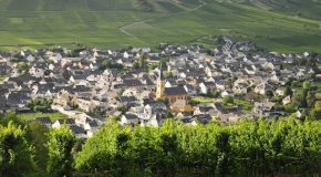Pesticides : Les riverains des zones viticoles davantage exposés