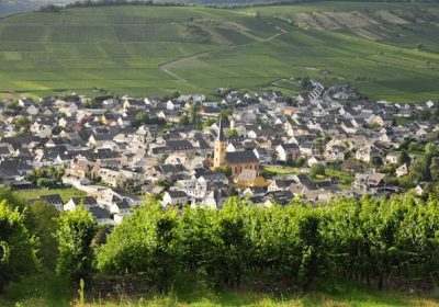 Pesticides : Les riverains des zones viticoles davantage exposés